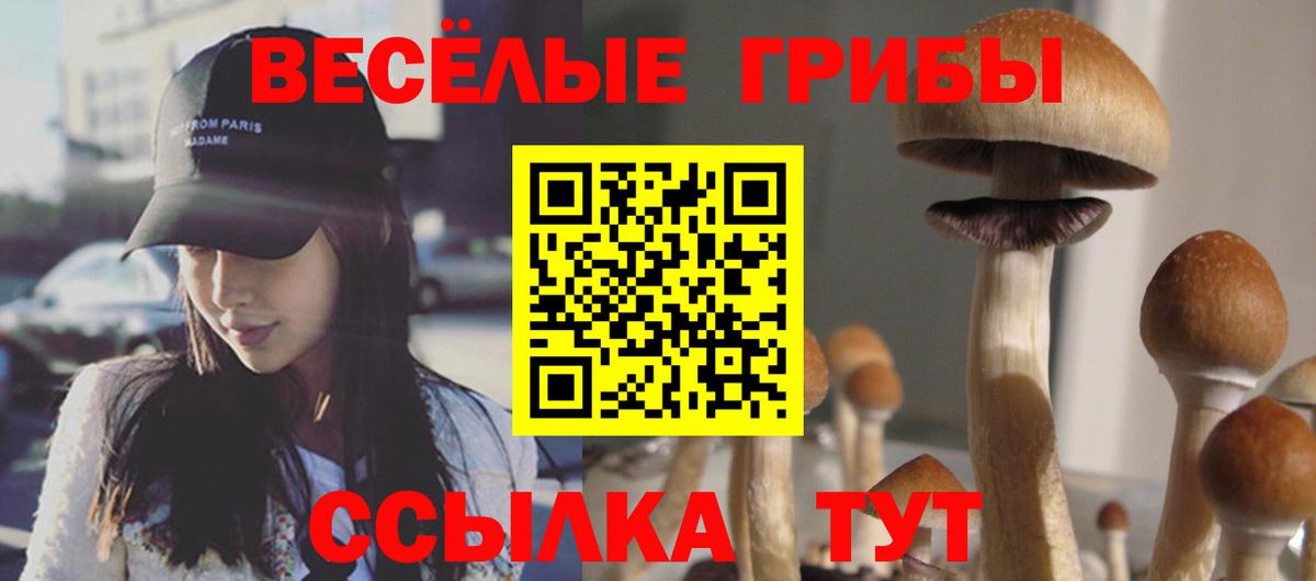 Галлюциногенные грибы ЛСД Рязань